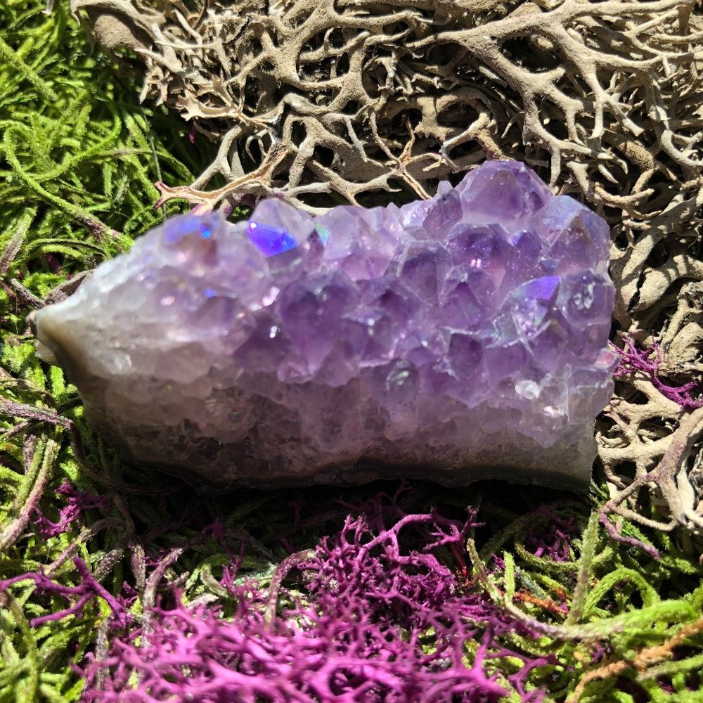Angel Aura Amethyst Cluster crystal on matrix